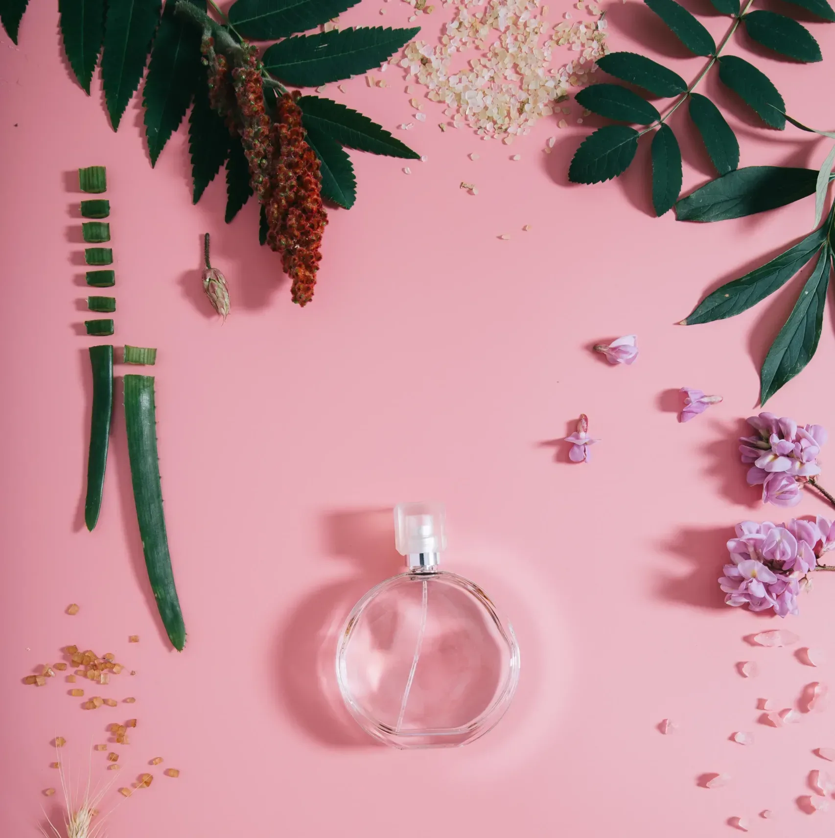 frasco de perfume transparente en flores en pared rosa pared de primavera con perfume de aroma endecha plana